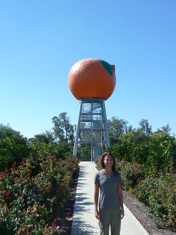 Big Orange at Harvey The Big Orange at Harvey, Australia