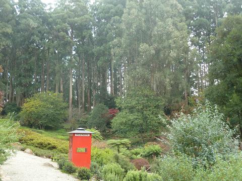 Dandenong gardens